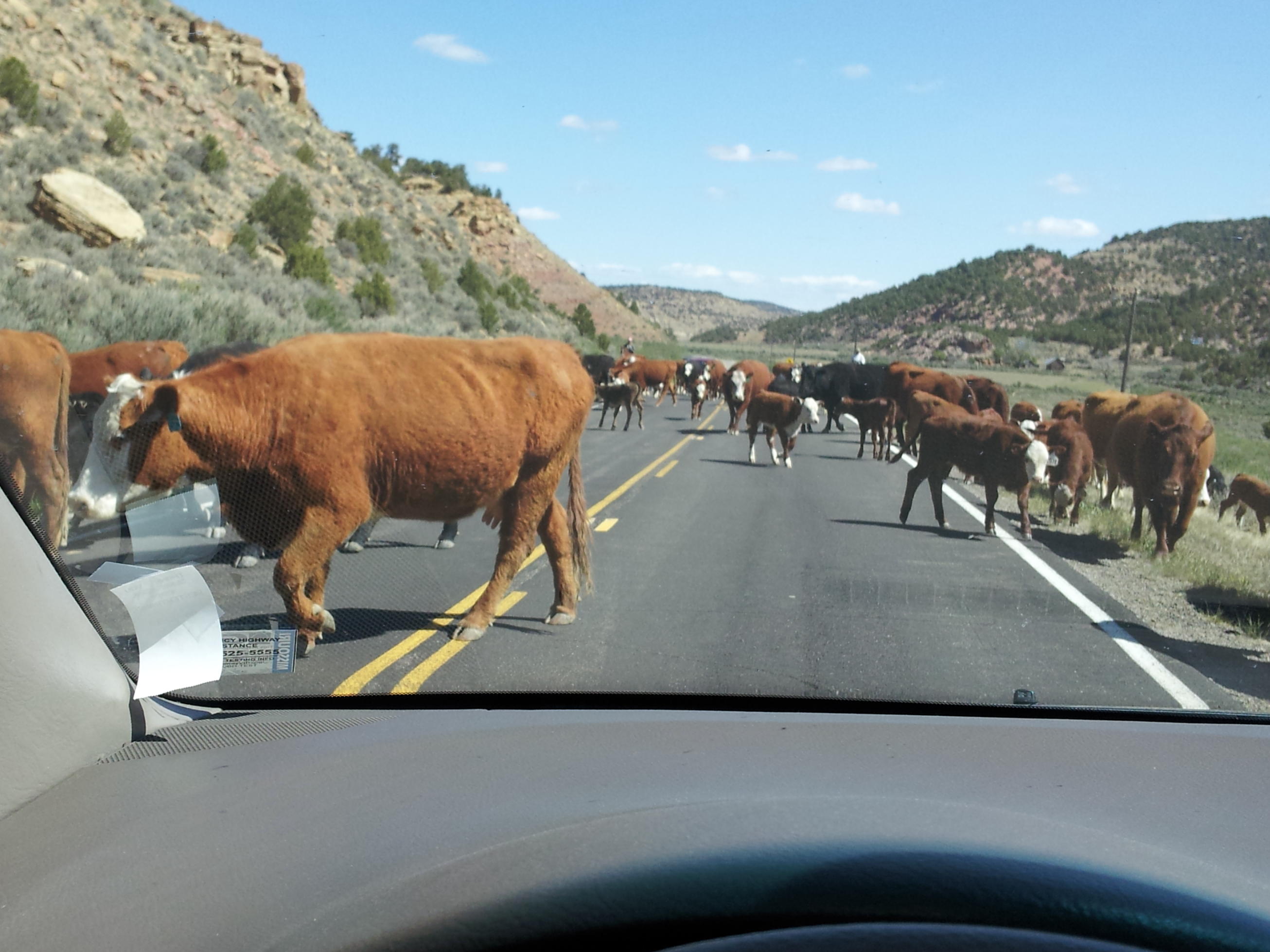 2012_05_28 DNP1 Open Range.jpg